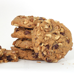 Stack of Chocolate Chip Walnut Cookies