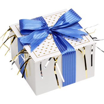 Festive Cookie Gift Box with Blue Ribbon