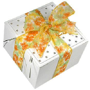 Spring Ribbon Cookie Gift Box
